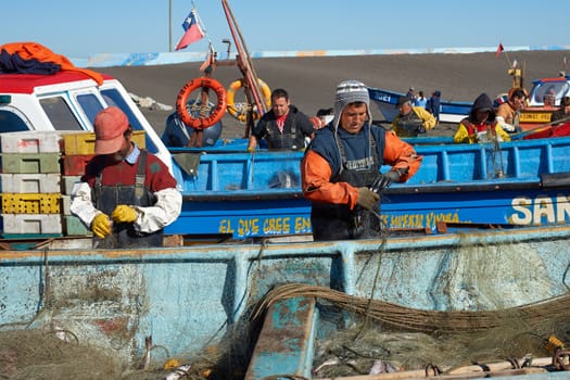 Fishermen removing merluza (pacific hake) from the fishing nets of boats that have recently been pulled out of the sea onto the sandy beach in the fishing village of Curanipe, Chile.
