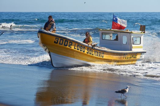 Fishing boat coming ashore on the sandy beach in the fishing village of Curanipe, Chile. Once the boats are beached on the sand, a tractor is used to pull the boats to safer ground.