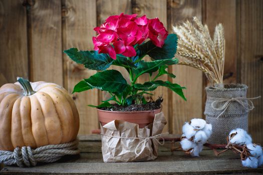 Beautiful flowers on a background of wooden boards