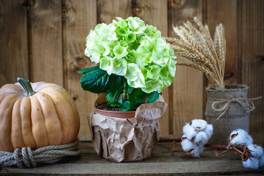 Beautiful flowers on a background of wooden boards