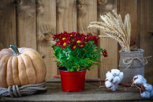 Beautiful flowers on a background of wooden boards