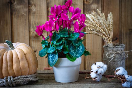 Beautiful flowers on a background of wooden boards