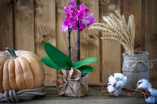 Beautiful flowers on a background of wooden boards