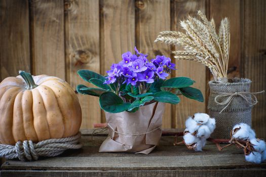 Beautiful flowers on a background of wooden boards