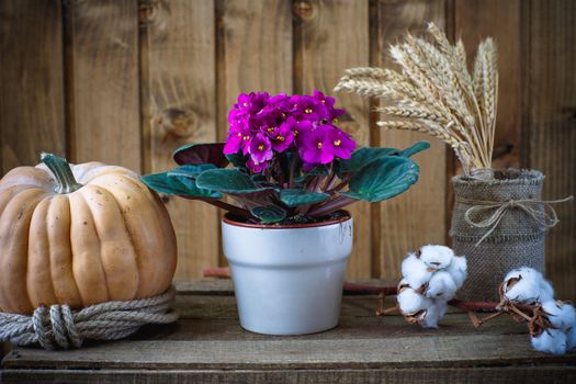 Beautiful flowers on a background of wooden boards