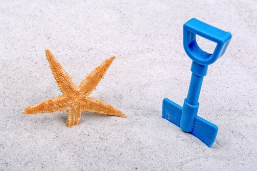 Orange starfish and blue scoop on a grey sand background