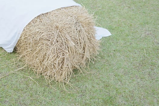 Cluster of straw from dry bamboo leaves with white fabric on green lawn.