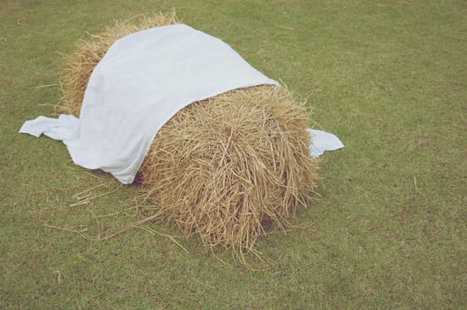 Cluster of straw from dry bamboo leaves with white fabric on green lawn in vintage style.