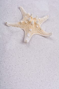 White starfish on a grey sand background