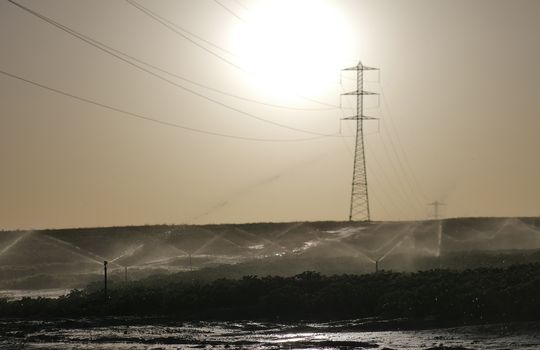 agricultural field with the watering irrigation system