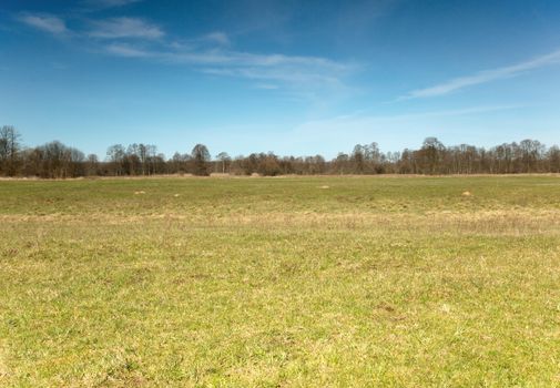 Poland, Fresh green grass in the meadows in the area Narew river in early spring, the beginning of April. Horizontal view