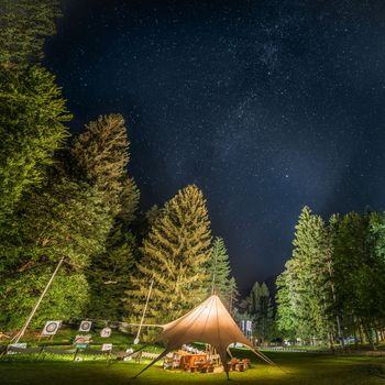 Camping Shelter Glows Surrounded by Trees Under a Night Sky Full of Stars