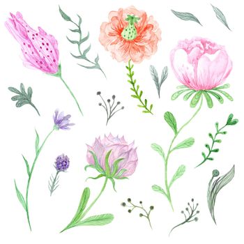 Beautiful collection of tender hand-painted eco floral elements  and plants for wedding, invitation, card design