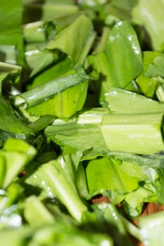 Healthy green salad on wooden plate ready to be eaten