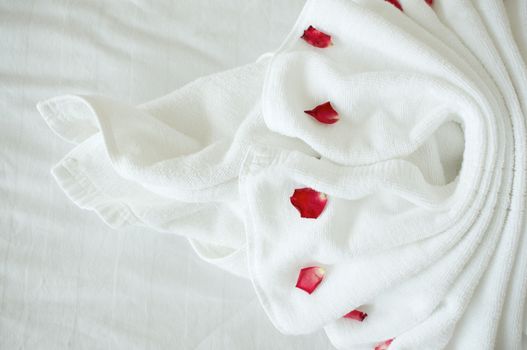 Towel plait as tail of swan with petal red rose on white bed in a hotel room.