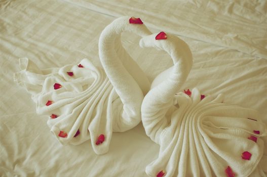 Towel plait as swans with petal red rose on white bed in vintage style.