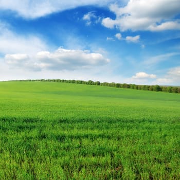 field and sky