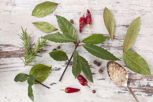 Bay leaves, traditional spice and condiment on white wooden background. Bay leaves, rosemary, chillies and black pepper on white wooden table, top view.