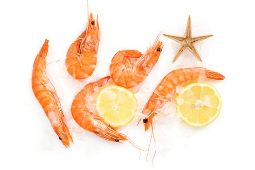 Shrimp background with copyspace. Fresh shrimp with lemon on ice on white background top view.