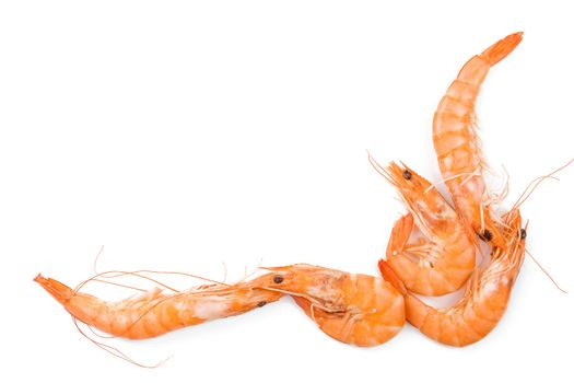 Shrimp background with copyspace. Fresh shrimp on white background top view.