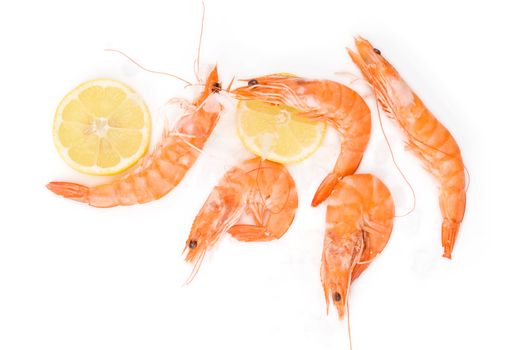 Shrimp background with copyspace. Fresh shrimp with lemon on ice on white background top view.