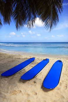 Surfboards at Dover beach on island Barbados on sandy shore by ocean