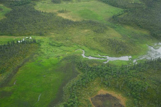 an aerial view of alaska wetland in katmai national park near king salmon