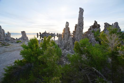 Limestone Tufa at Mono Lake with warm morning sunlight