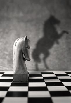 Chess piece with a rearing horse as shadow 