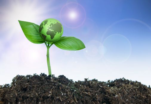 Small green earth growing from a plant seedling 