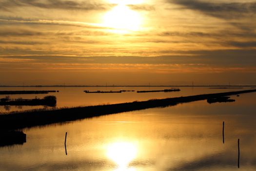 Landscape at sunset of the swamp - the lagoon in the natural reserve