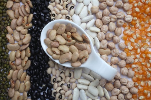 Ceramic spoon with brown beans over seeds and grains background