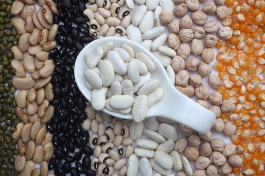Ceramic spoon with white beans over seeds and grains background