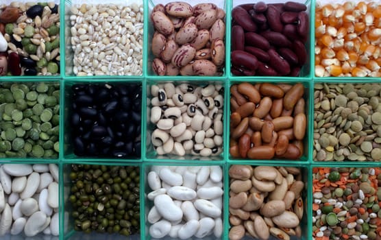 Various beans and grains close up