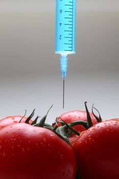 Injection into fresh red tomato