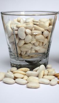 White beans close up
