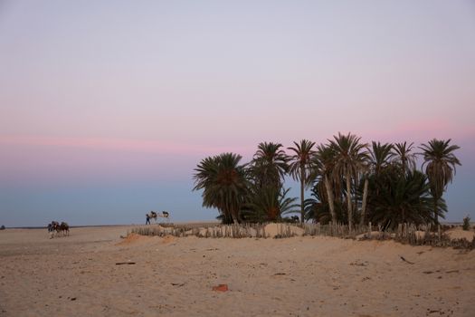 Morning in Sahara desert