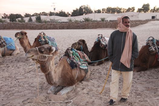 Morning in Sahara desert