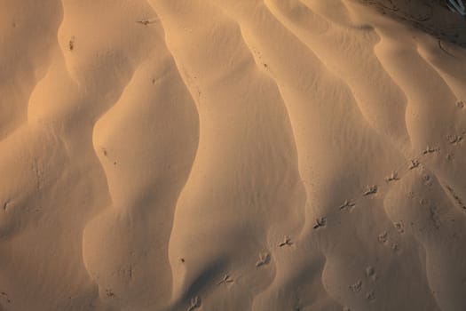 Wind textures on sand in Sahara