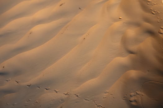 Wind textures on sand in Sahara