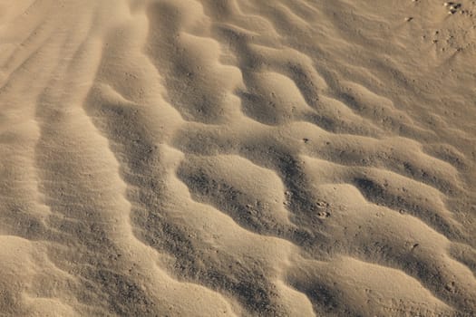 Wind textures on sand in Sahara