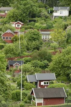 Small cottage by a green summer meadow.