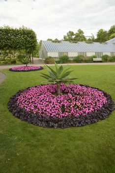 Flowerbed in park