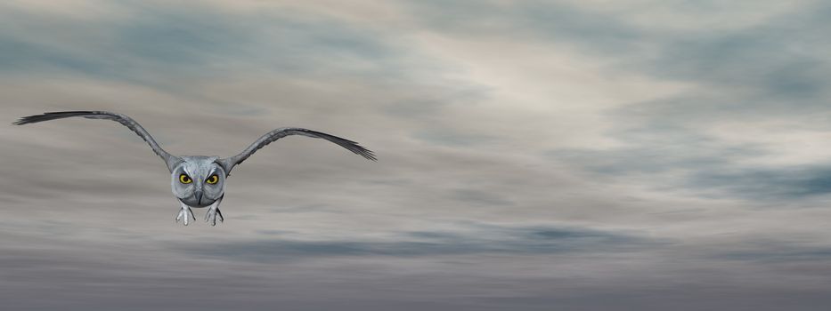 Grey owl flying in the sky by sunset - 3D render