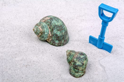 Marine shells and blue scoop on a grey sand background