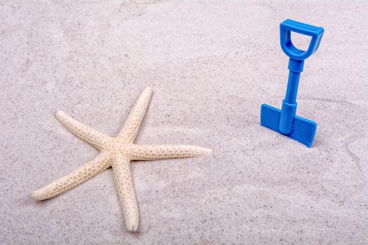 White starfish and blue scoop on a grey sand background