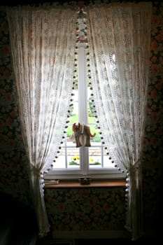 French traditional house window