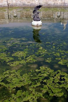 France, park of Fontainebleau palace