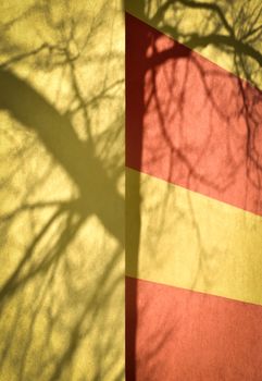 abstract background shade tree branch at the plaster of the house