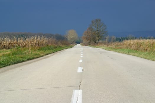 Empty road in autumn day between meadows and fields